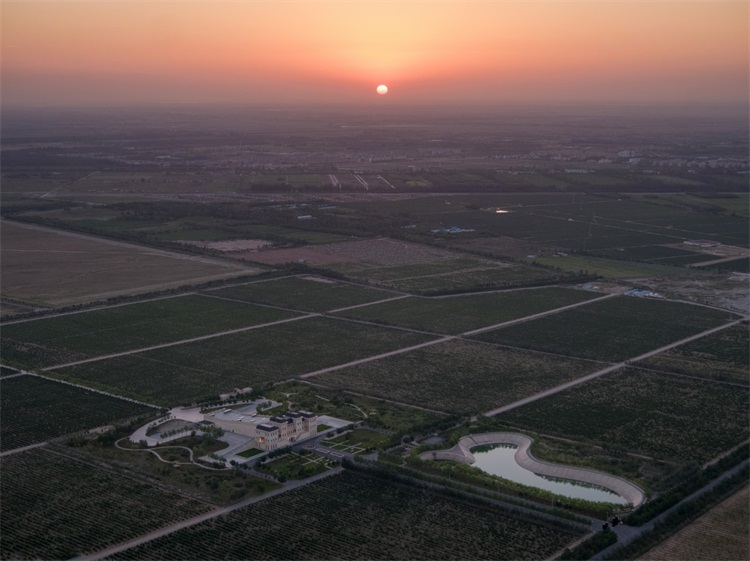 酒莊空間設計效果圖
